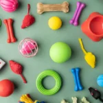 Best Chew Toys