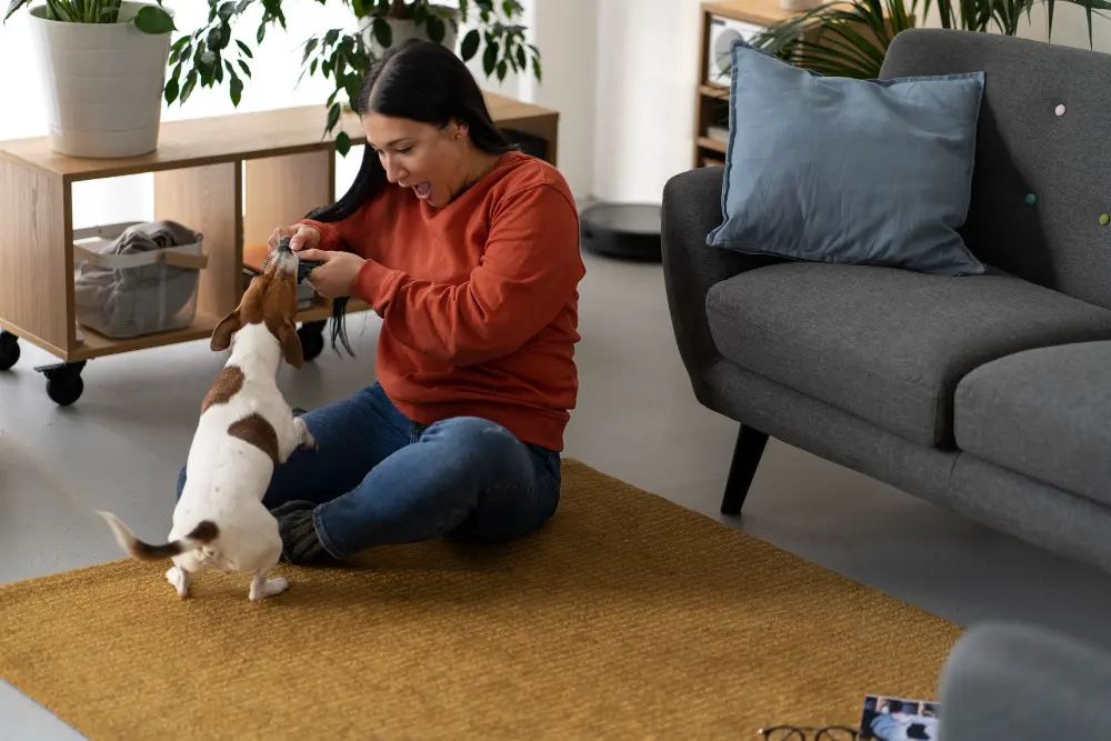 Design a Pet-Friendly Living Room
