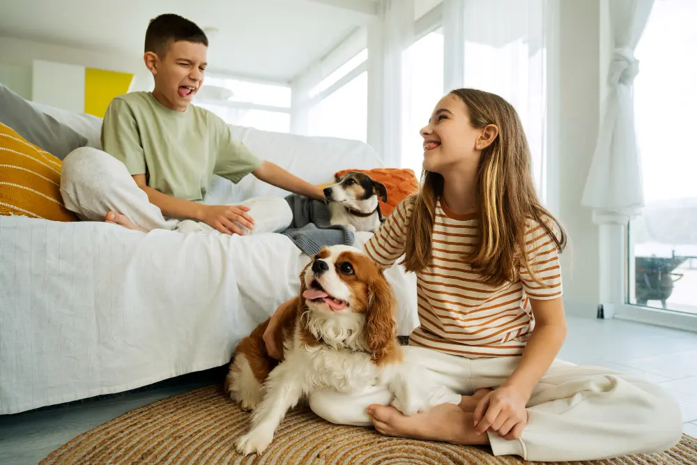 How to Design a Pet-Friendly Living Room Easily