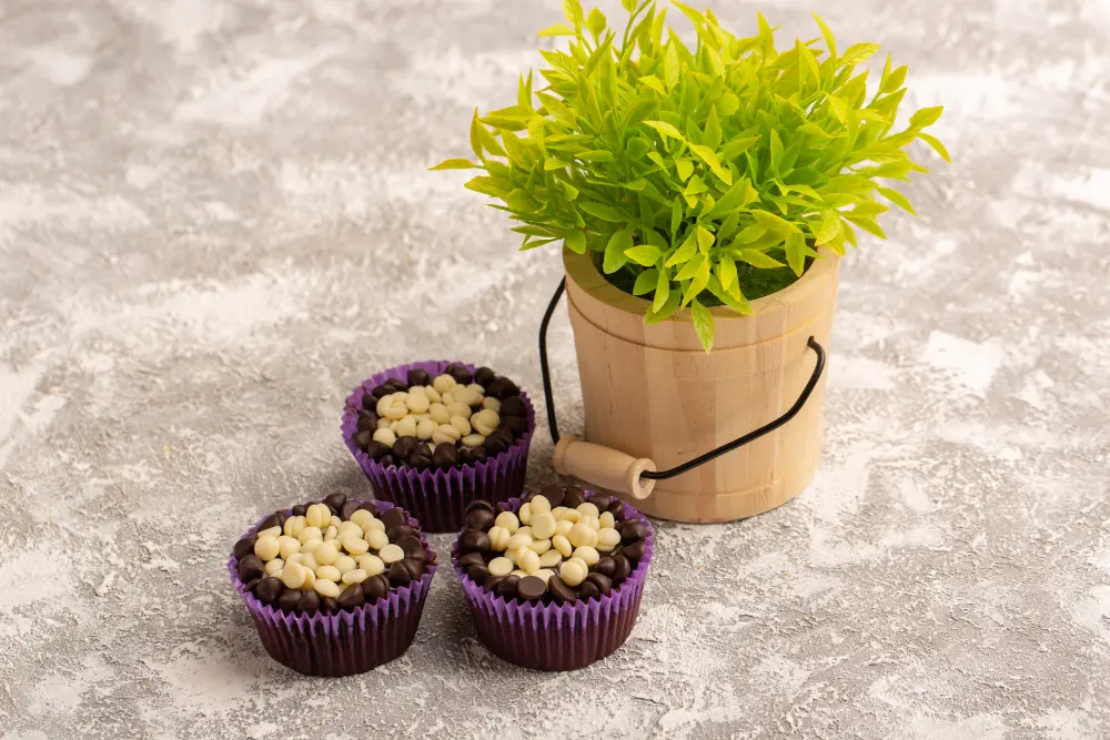 eco friendly flower pots