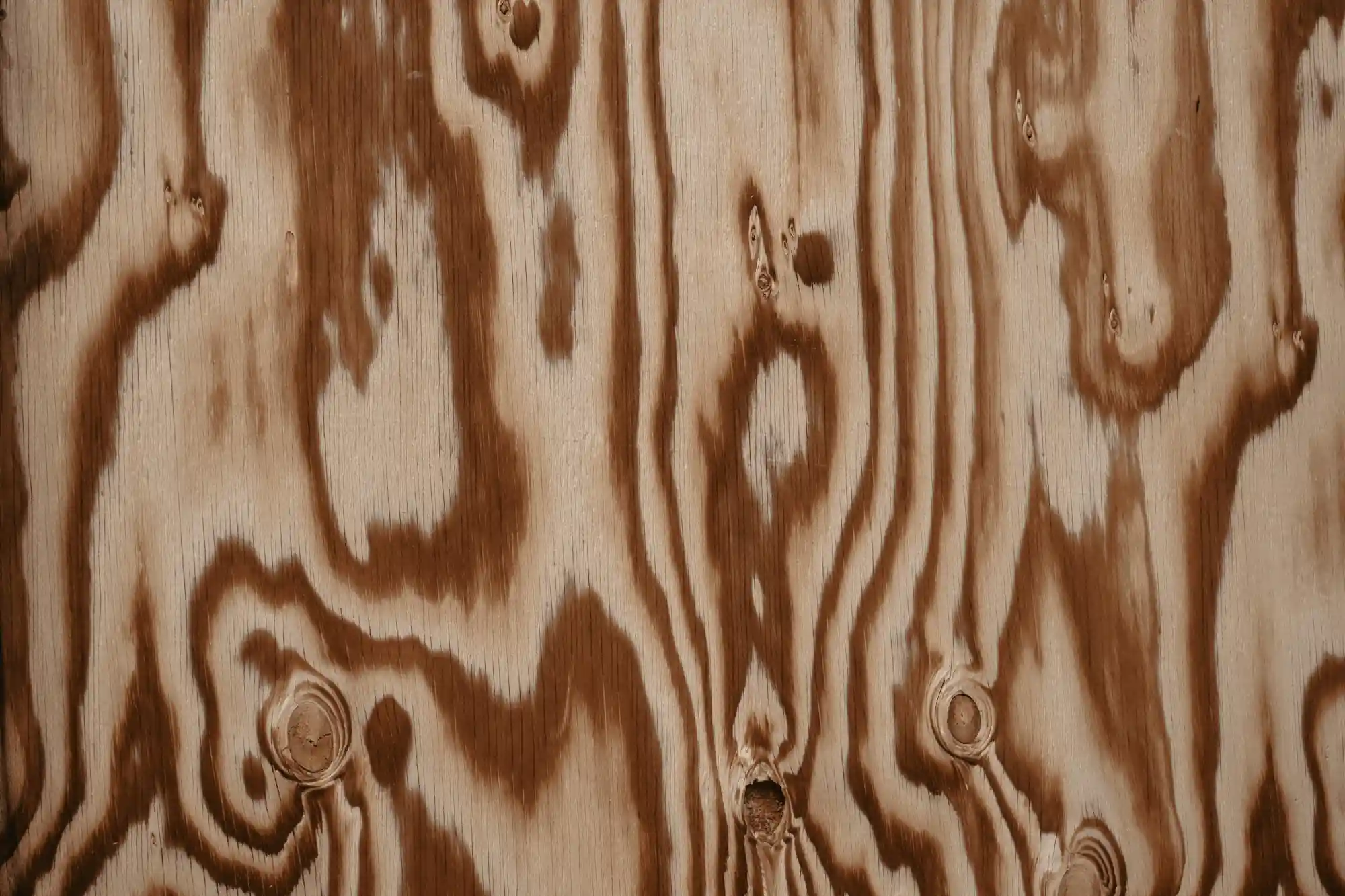 Close up of engineered hardwood wear layer and wood grain texture