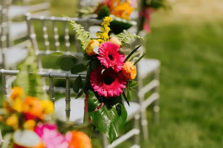 Smart Gardening Simple Ways to Grow Healthy Plants