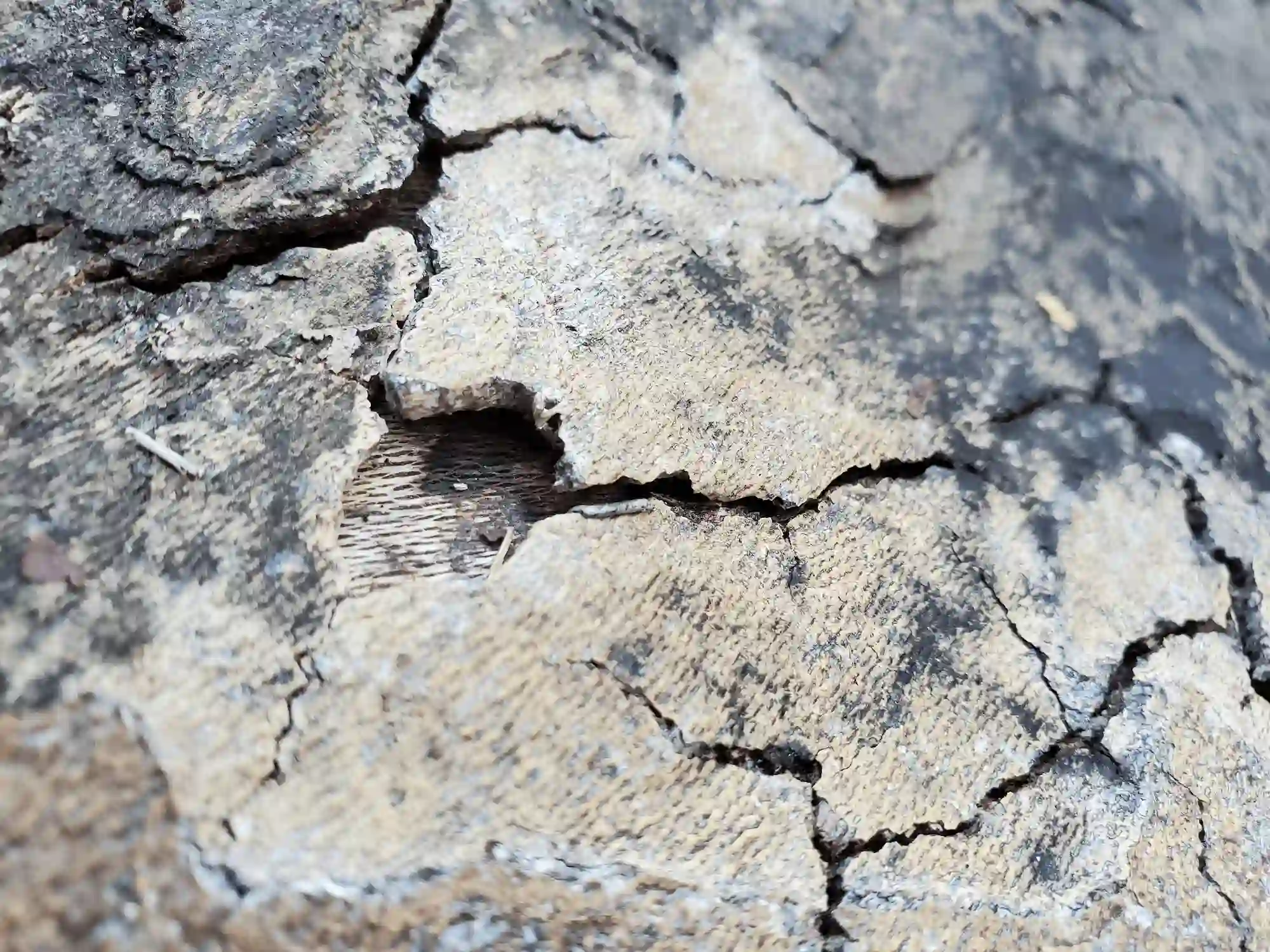 cork flooring showing water damage and swelling near a bathroom entrance