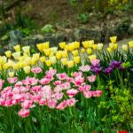 Gardening for Newbies: Complete Beginner’s Guide to Start Today